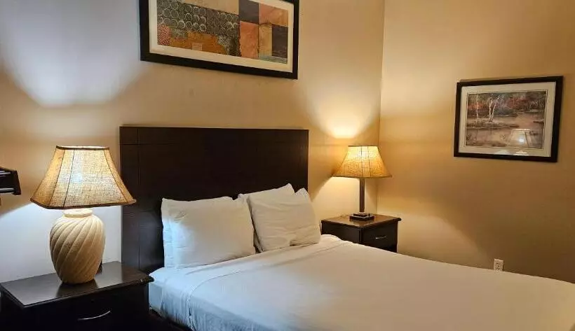 اتاق استاندارد برای معلولان, Bellis Inn