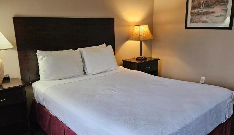 身障者適用スタンダードルーム, Bellis Inn