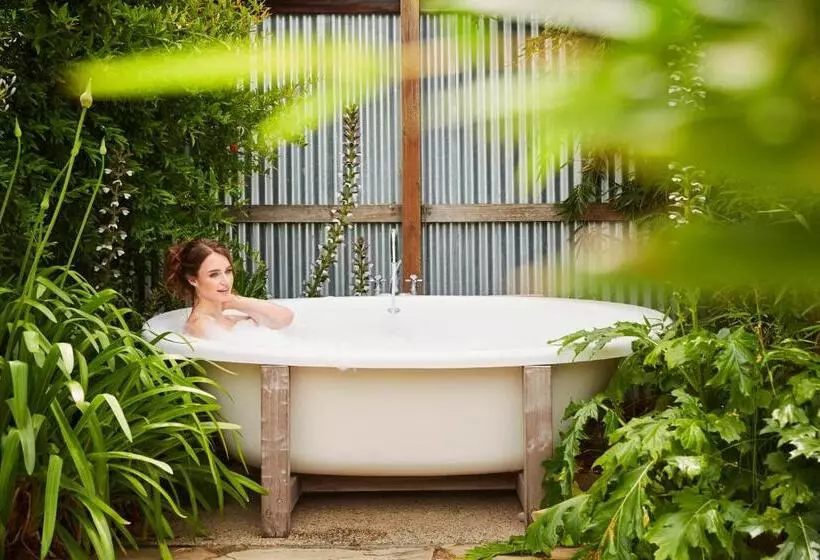 خانه 1 خوابه, Carneros Resort And Spa