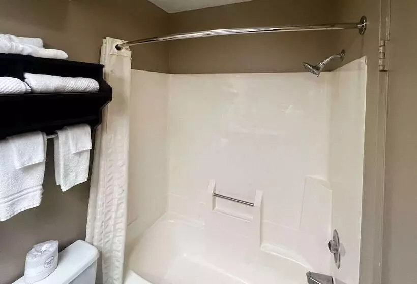 اتاق استاندارد با 2 تخت دوبل, Clarion Hotel & Suites