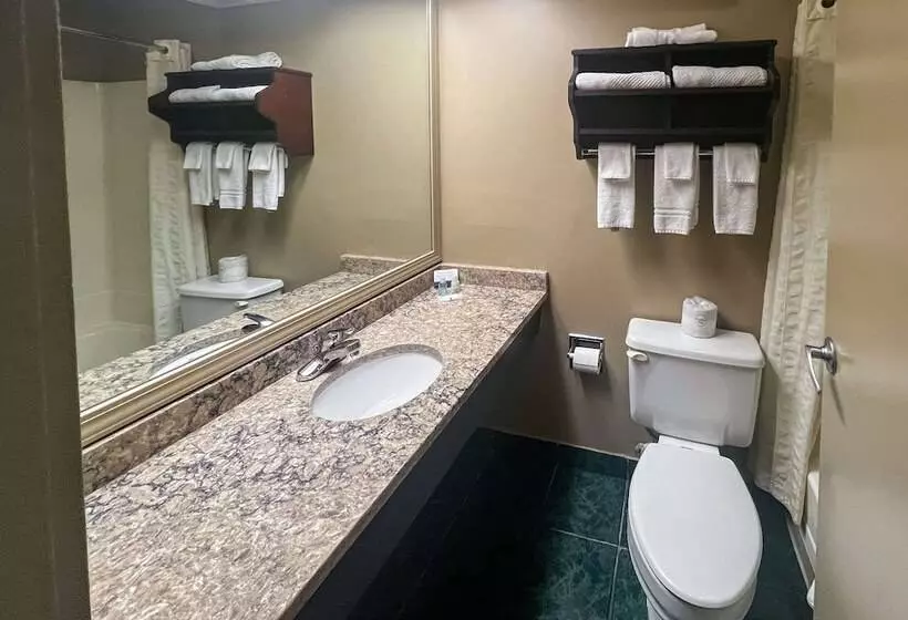 اتاق استاندارد با 2 تخت دوبل, Clarion Hotel & Suites