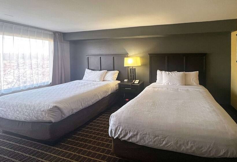 غرفه قياسيه سريرين مزدوجين, Clarion Hotel & Suites