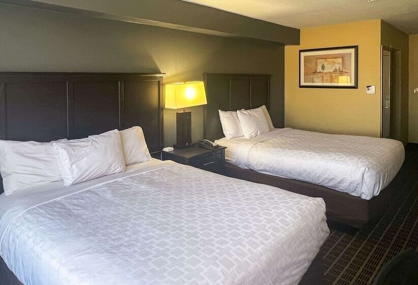 غرفه قياسيه سريرين مزدوجين, Clarion Hotel & Suites