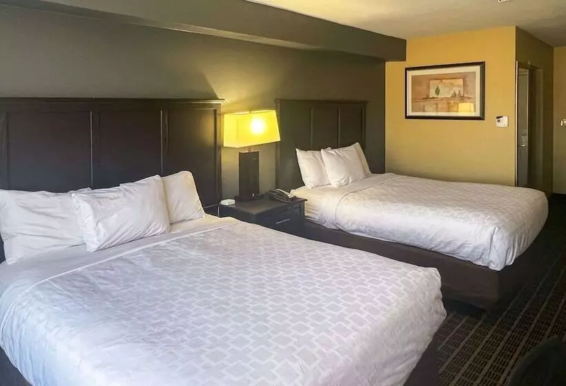 اتاق استاندارد با 2 تخت دوبل, Clarion Hotel & Suites