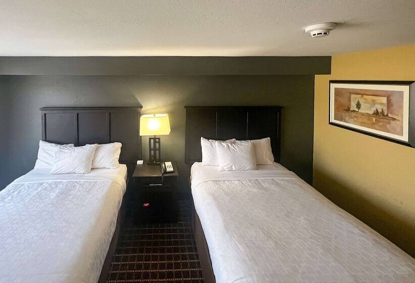 Номер Стандарт 2 Двуспальные Кровати, Clarion Hotel & Suites