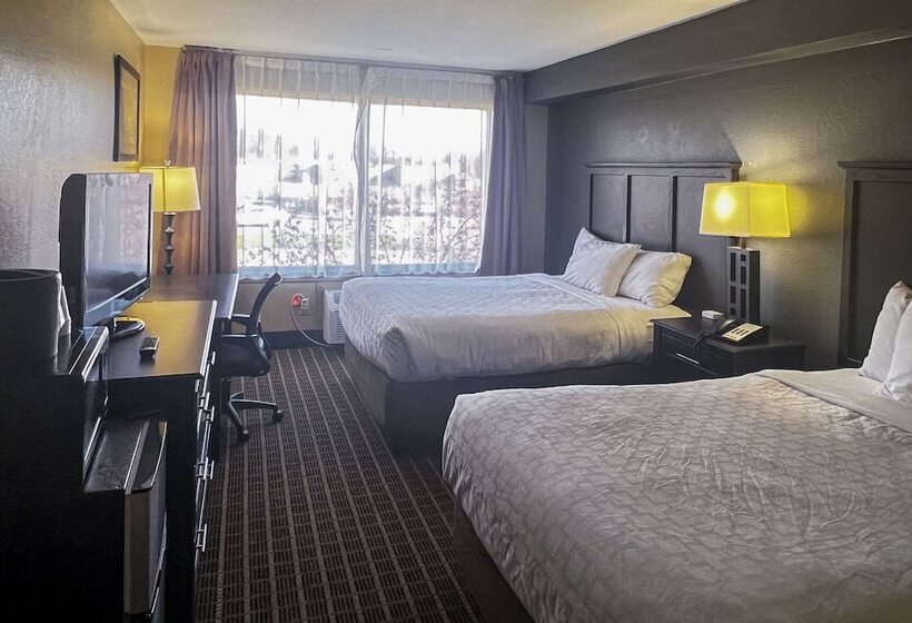 غرفه قياسيه سريرين مزدوجين, Clarion Hotel & Suites