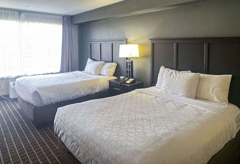 غرفه قياسيه سريرين مزدوجين, Clarion Hotel & Suites