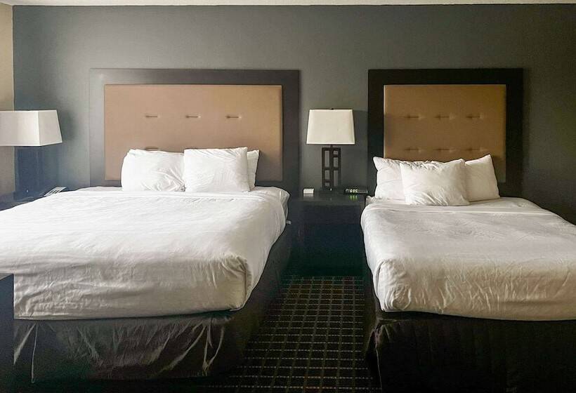Люкс, Clarion Hotel & Suites