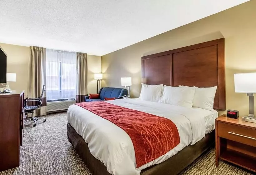 ハイドロマッサージバス付きスイート, Comfort Inn Norwalk  Sandusky