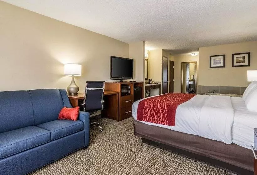 ハイドロマッサージバス付きスイート, Comfort Inn Norwalk  Sandusky