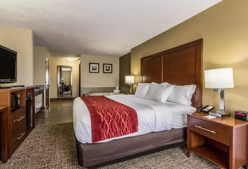 ハイドロマッサージバス付きスイート, Comfort Inn Norwalk  Sandusky