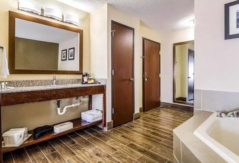 ハイドロマッサージバス付きスイート, Comfort Inn Norwalk  Sandusky