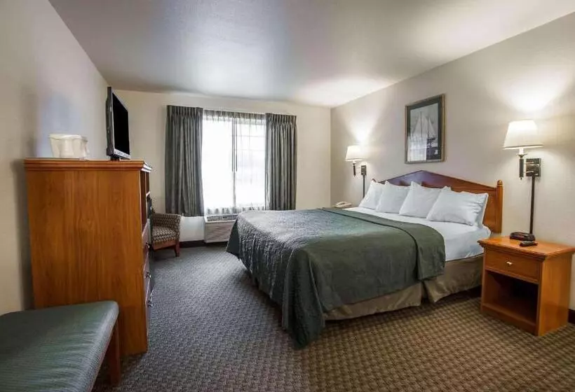 キングサイズベッドのスタンダードルーム, Quality Inn & Suites Federal Way  Seattle