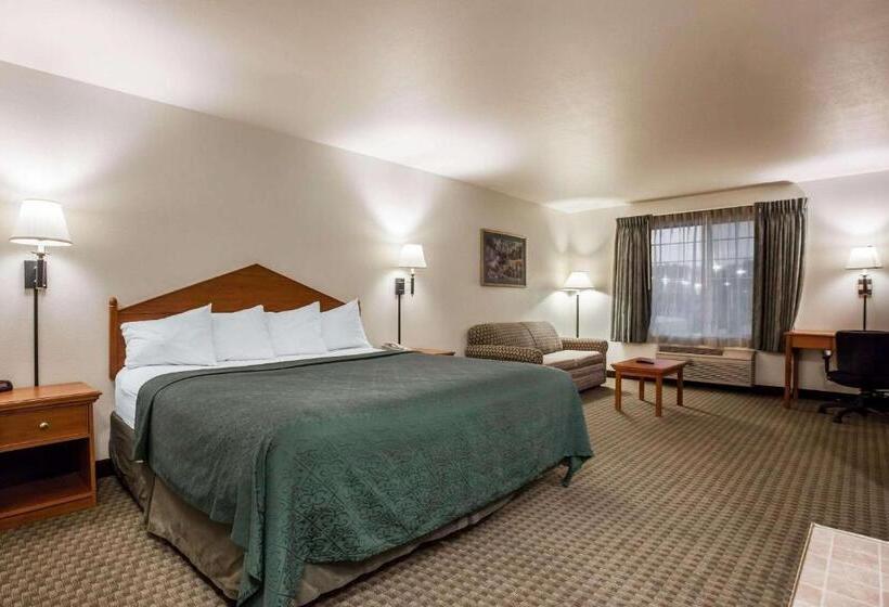 스탠다드 룸 킹사이즈 침대, Quality Inn & Suites Federal Way Seattle