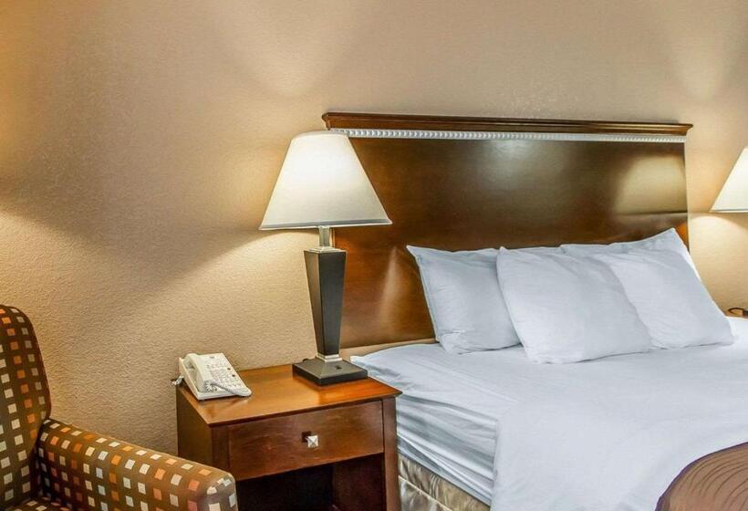 Стандартный Номер Кровать Кинг, Quality Inn & Suites