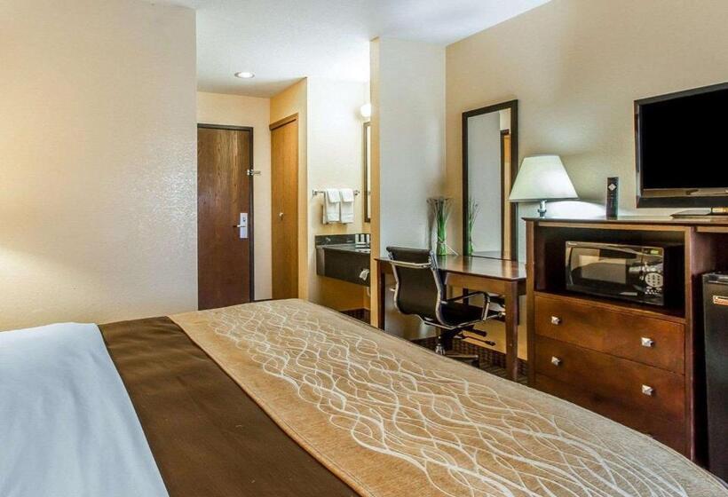 חדר סטנדרט עם מיטת קינג, Quality Inn & Suites