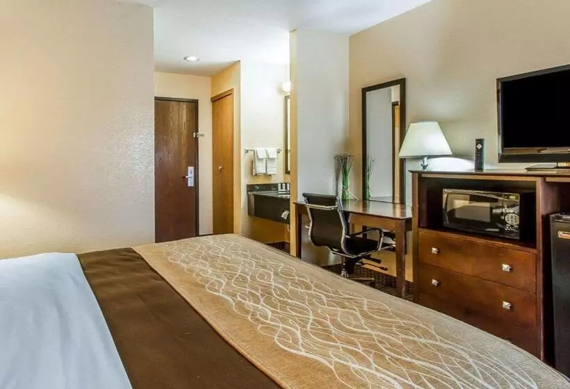 キングサイズベッドのスタンダードルーム, Quality Inn & Suites