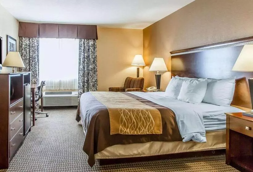 キングサイズベッドのスタンダードルーム, Quality Inn & Suites