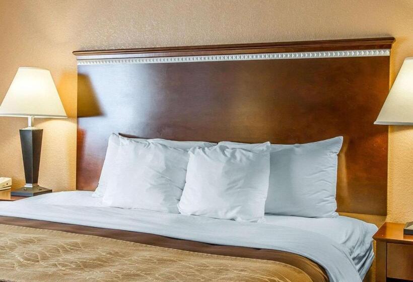 חדר סטנדרט עם מיטת קינג, Quality Inn & Suites