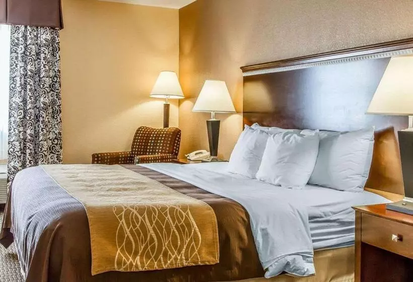 キングサイズベッドのスタンダードルーム, Quality Inn & Suites