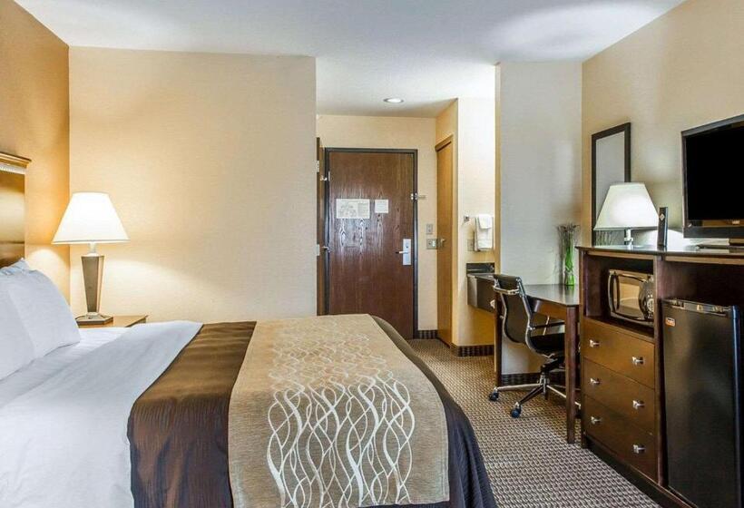חדר סטנדרט עם מיטת קינג, Quality Inn & Suites