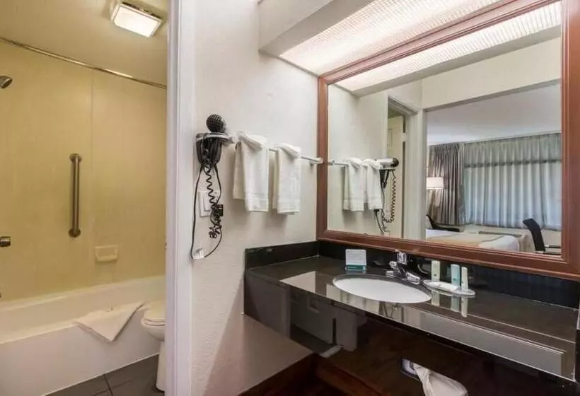 スタンダードルーム, Quality Inn & Suites