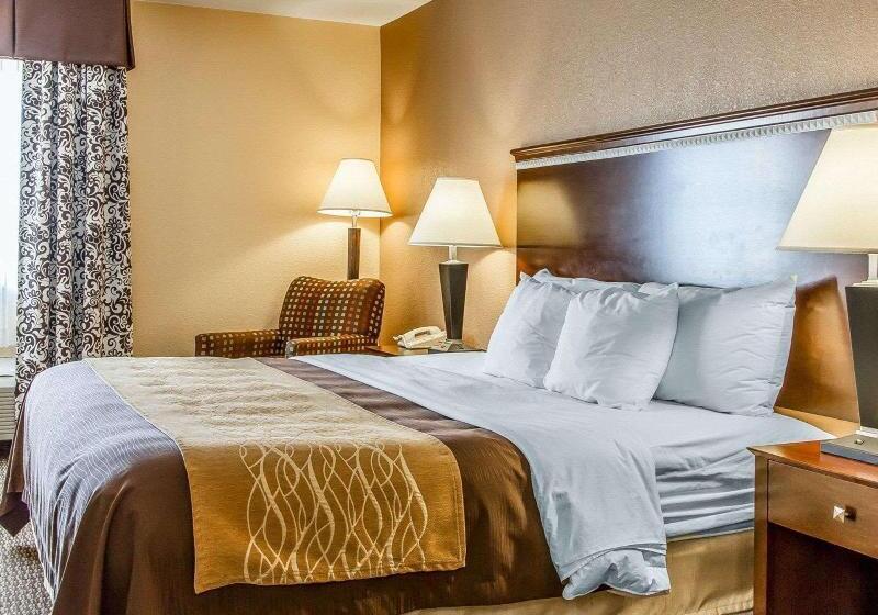 חדר סטנדרט עם מיטת קינג, Quality Inn & Suites