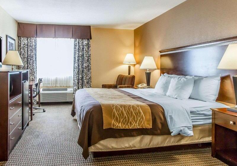 Стандартный Номер Кровать Кинг, Quality Inn & Suites