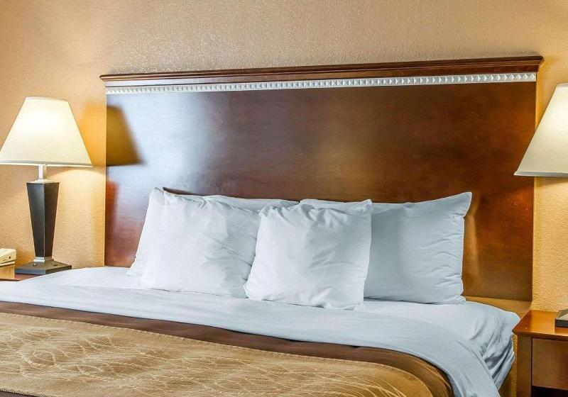חדר סטנדרט עם מיטת קינג, Quality Inn & Suites