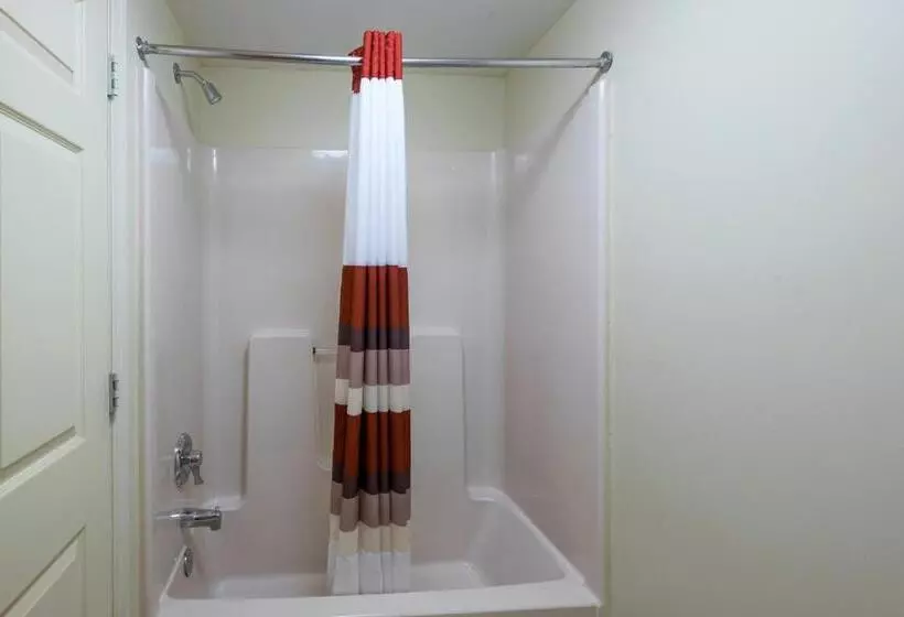 デラックスルーム, Red Roof Inn Hendersonville