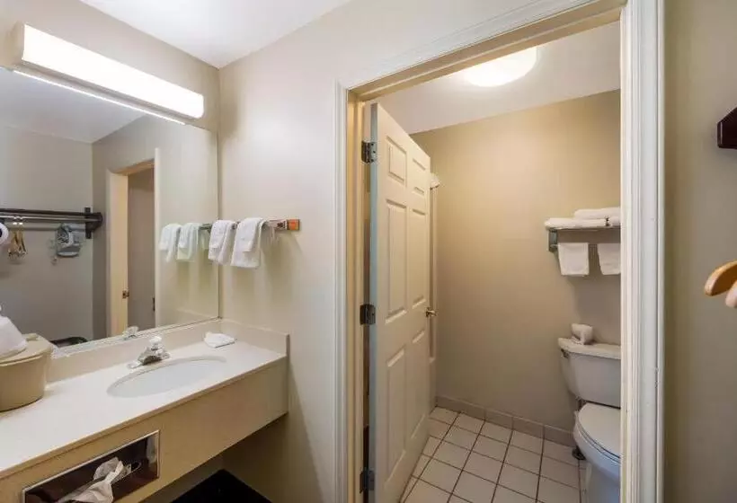 キングサイズベッドのスーペリアルーム, Red Roof Inn Hendersonville