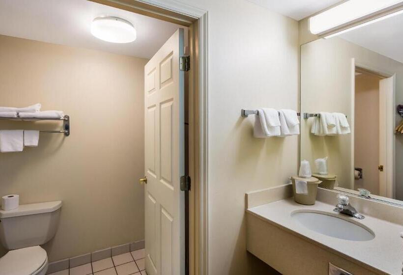 חדר סופריור עם מיטת קינג, Red Roof Inn Hendersonville