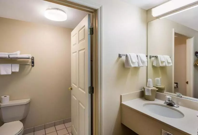 キングサイズベッドのスーペリアルーム, Red Roof Inn Hendersonville