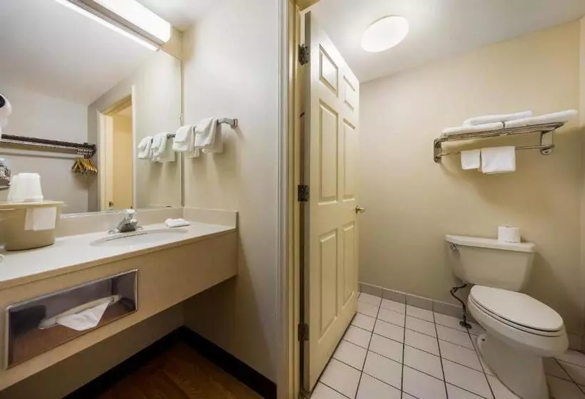 キングサイズベッドのスーペリアルーム, Red Roof Inn Hendersonville