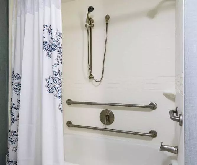 سوییت, Residence Inn By Marriott Boston Framingham