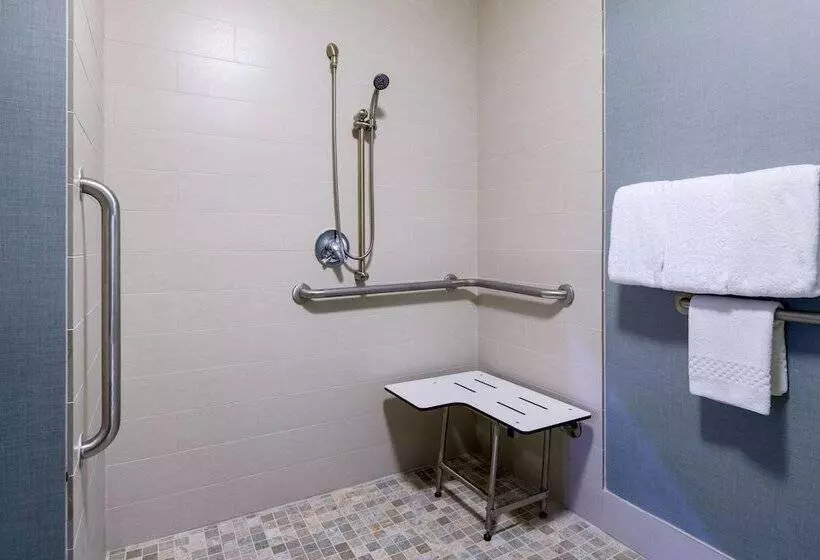 سوییت, Residence Inn By Marriott Boston Framingham