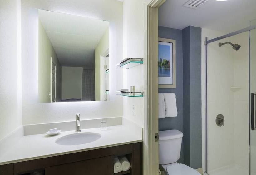 جناح, Residence Inn By Marriott Boston Framingham