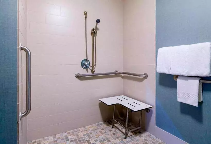 استودیوی استاندارد, Residence Inn By Marriott Boston Framingham