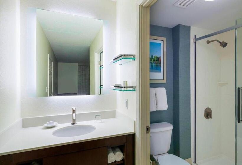 Люкс, Residence Inn By Marriott Boston Framingham