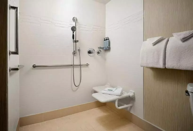 キングサイドベッドのスタンダードワンルーム, Residence Inn Philadelphia Conshohocken