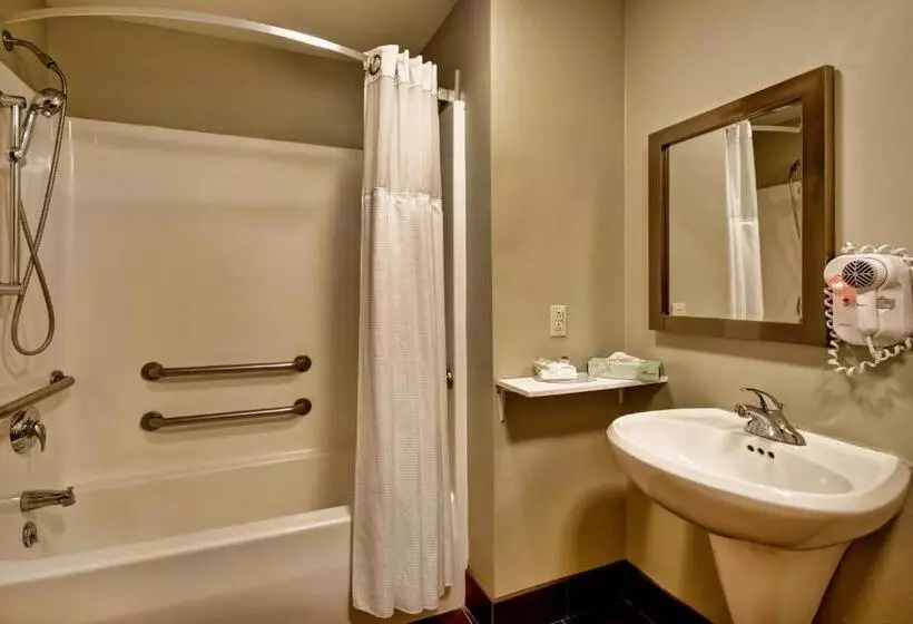 اتاق استاندارد برای معلولان, Staybridge Suites Madison East, An Ihg