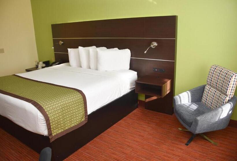 身障者適用キングサイズベッドルーム, Surestay Hotel By Best Western Manning