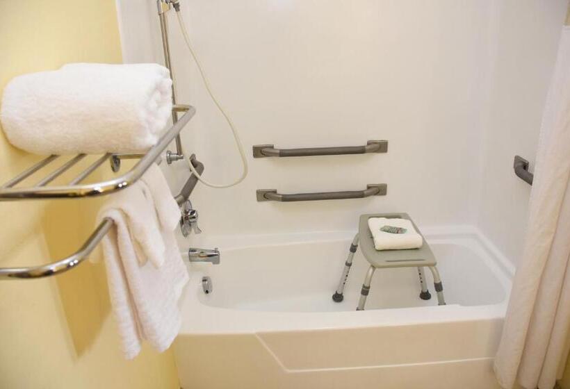 身障者適用キングサイズベッドルーム, Surestay Hotel By Best Western Manning