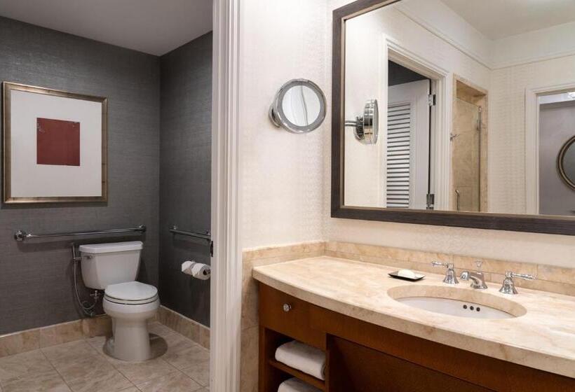 身障者適用スタンダードルーム, The Ritzcarlton, Boston