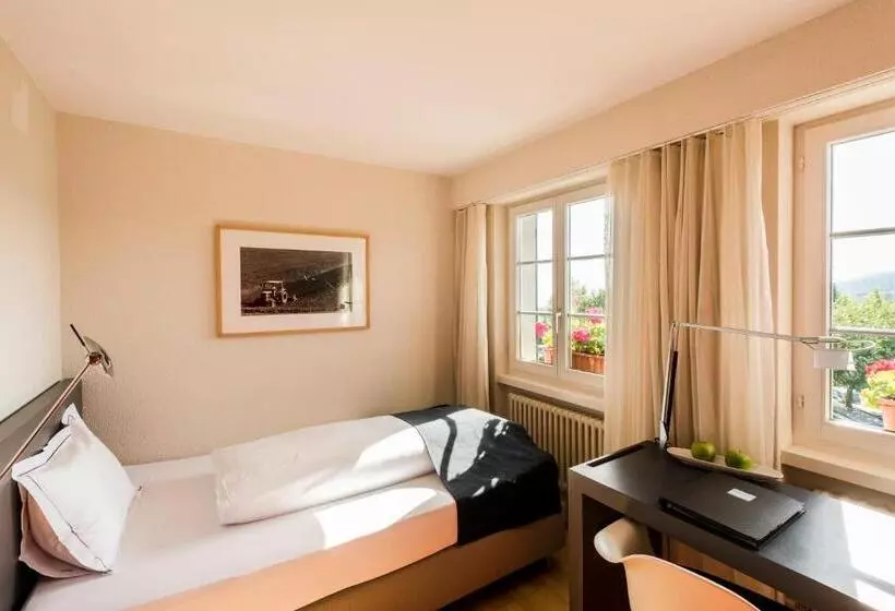 Habitación Estàndard Individual, Wassberg