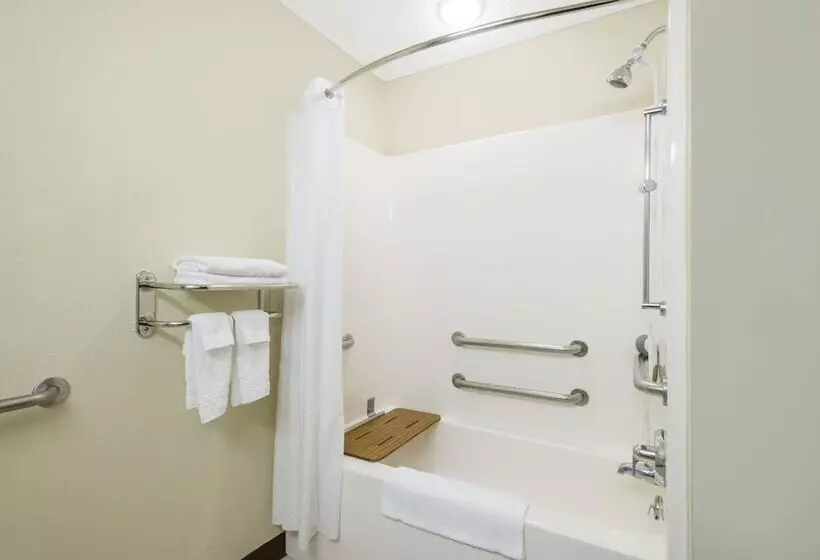 身障者適用スタンダードルーム, Microtel Inn & Suites By Wyndham Seneca Falls