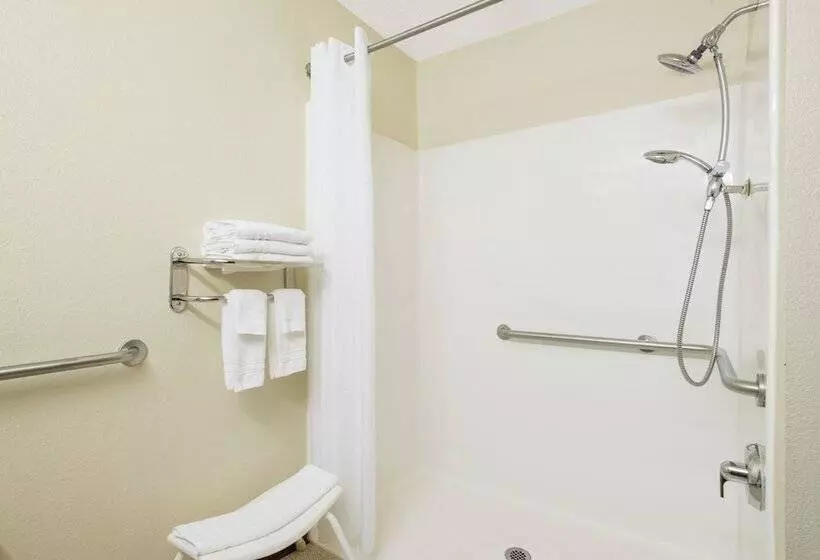 身障者適用スタンダードルーム, Microtel Inn & Suites By Wyndham Seneca Falls