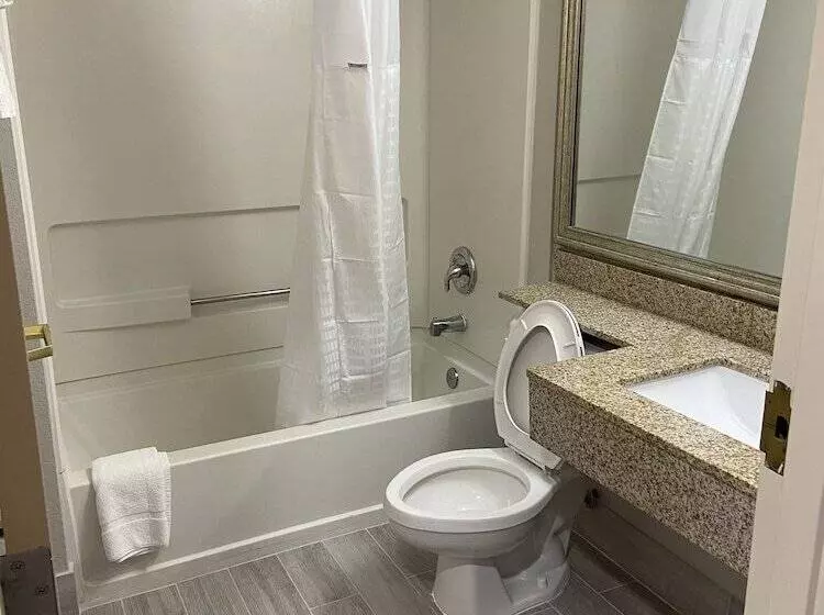 デラックススタジオ, Microtel Inn & Suites By Wyndham Statesville