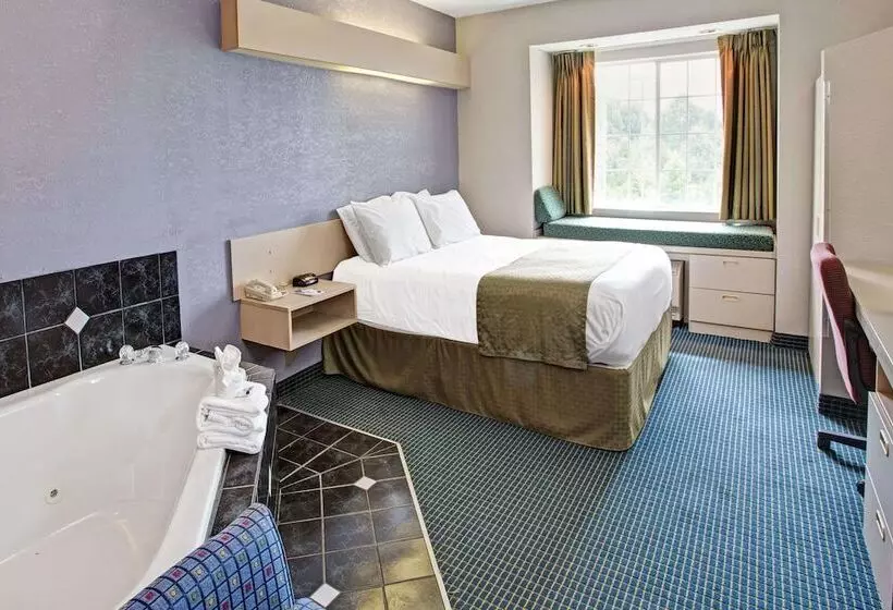 デラックススタジオ, Microtel Inn & Suites By Wyndham Statesville