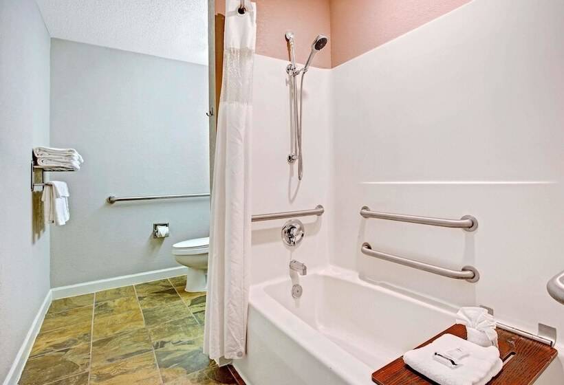 Студия Deluxe, Microtel Inn & Suites By Wyndham Statesville